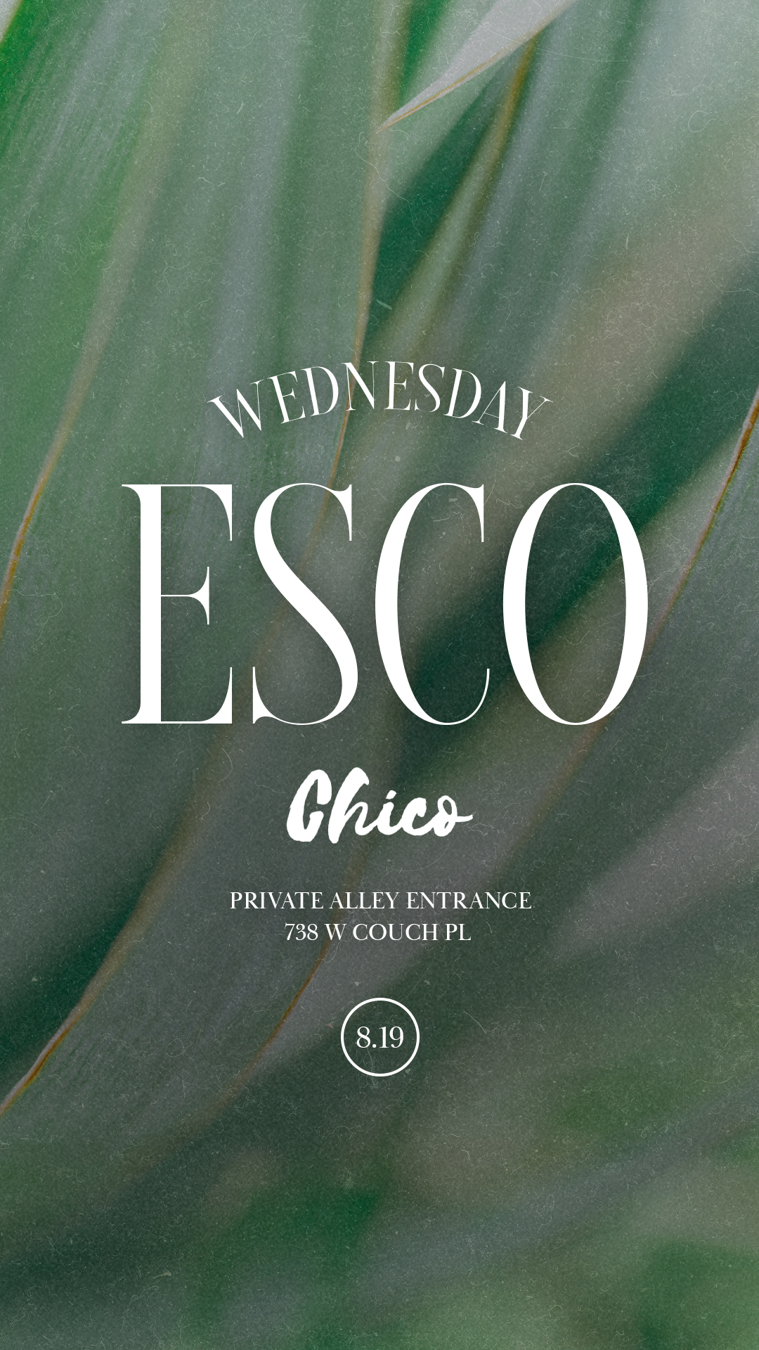 "House De Gringo" Wednesdays