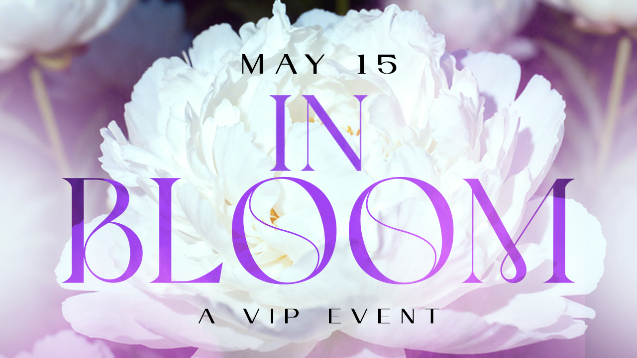 Bloom- Goldroom Chicago