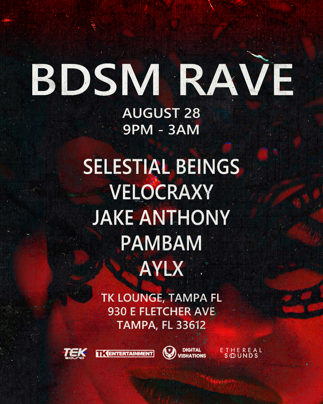 BDSM RAVE Vol 3 - Tampa, FL