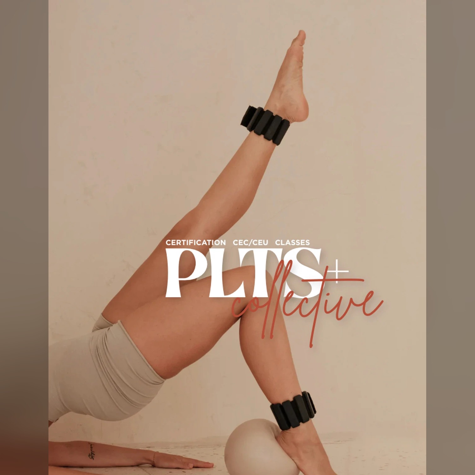 The PLTS+ Collective