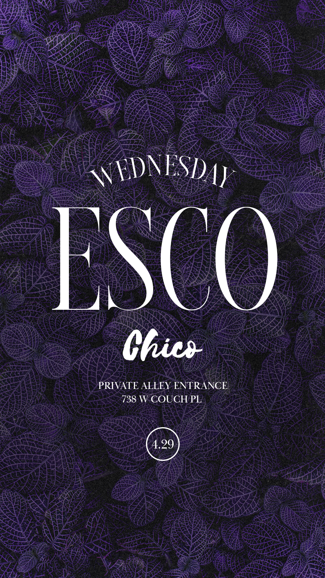 "House De Gringo" Wednesdays