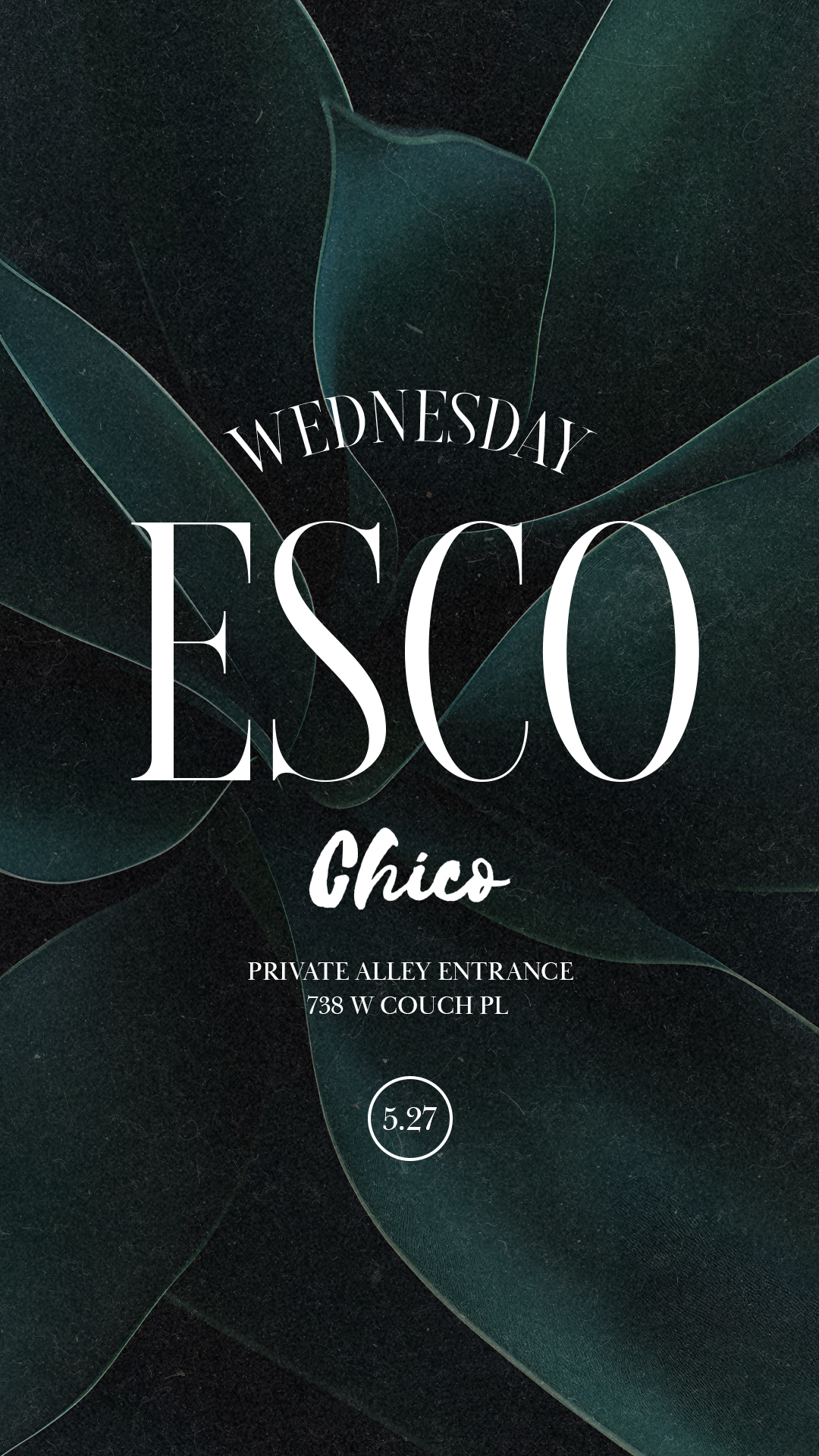 "House De Gringo" Wednesdays