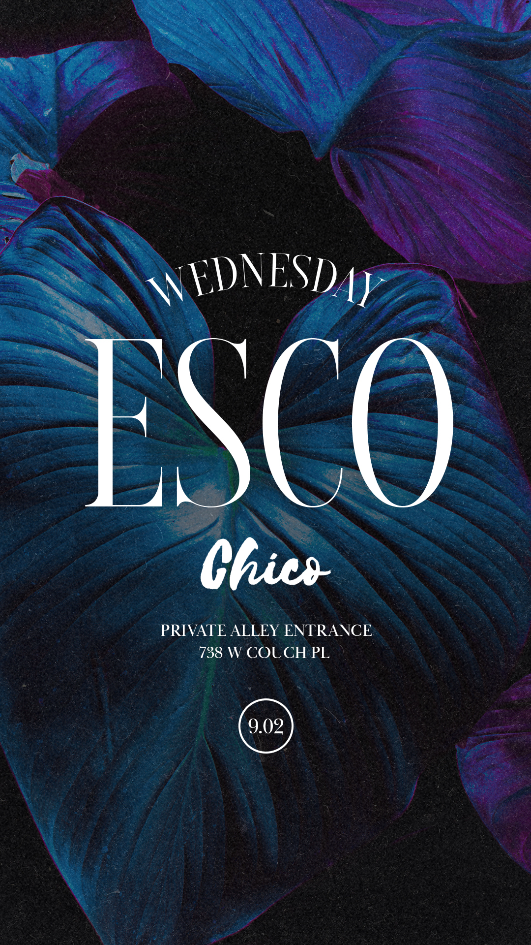 "House De Gringo" Wednesdays