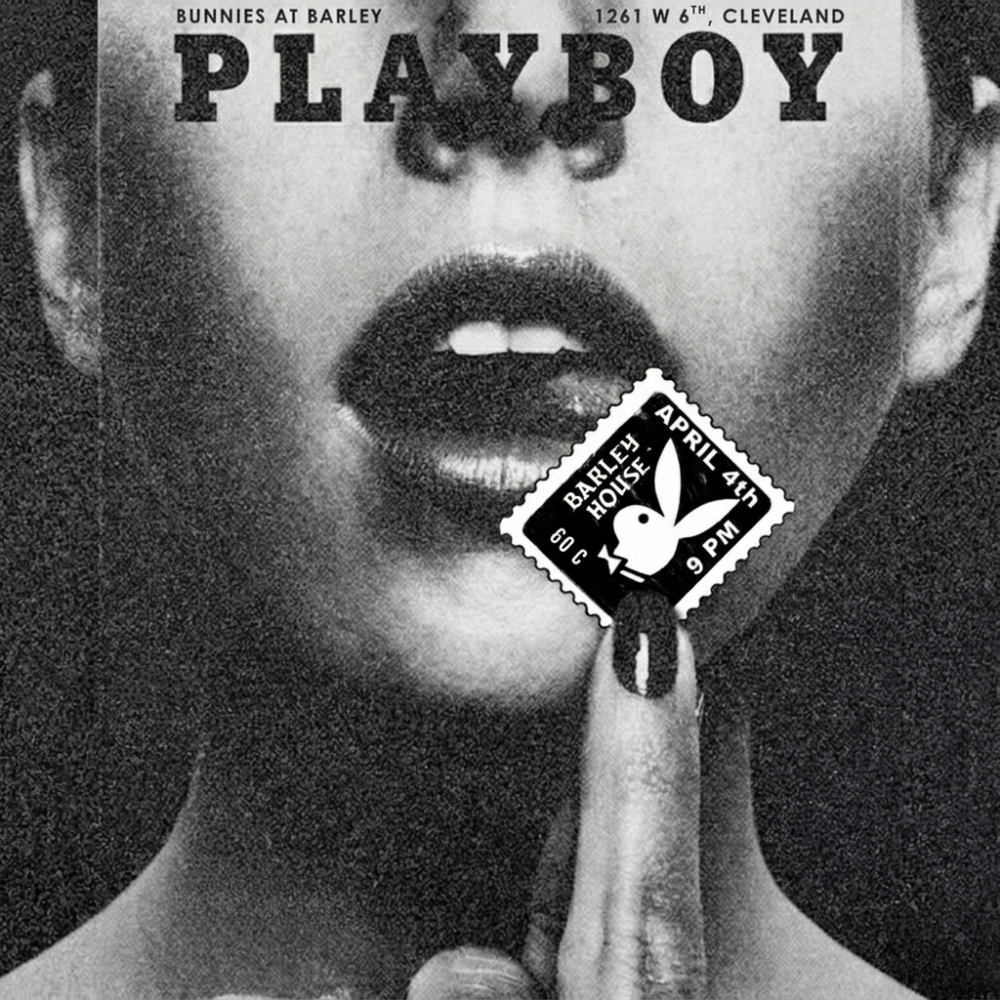 Bunnies at Barley House