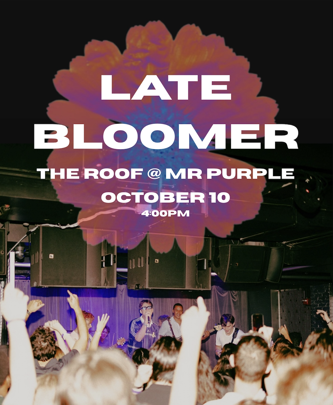 Late Bloomer @ Mr. Purple