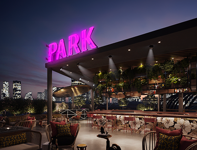 Vice Park